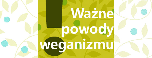 Powody weganizmu